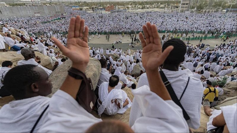 الحجاج والأوبئة 