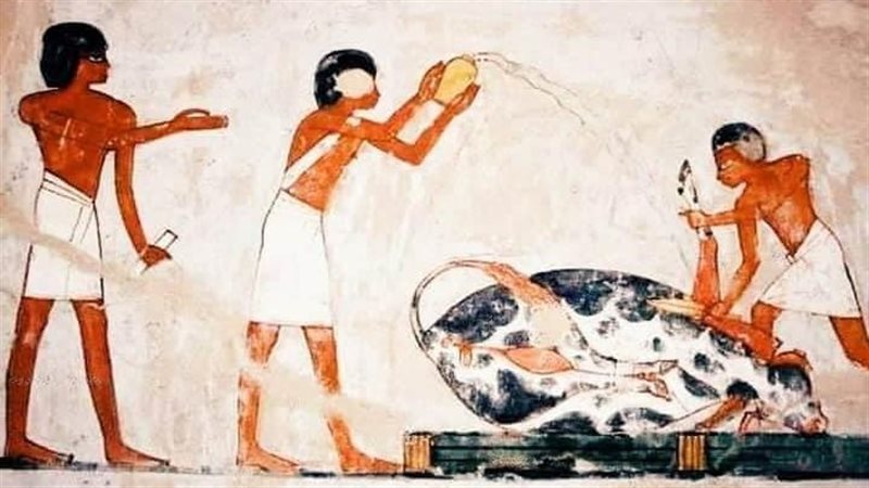 الأضاحي عند قدماء