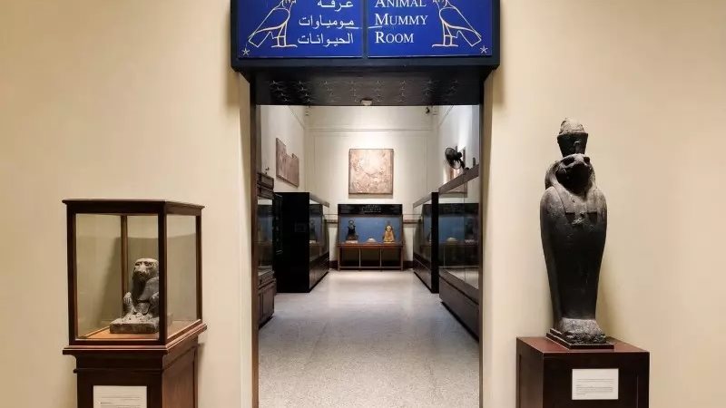 قاعة مومياوات الحيوانات