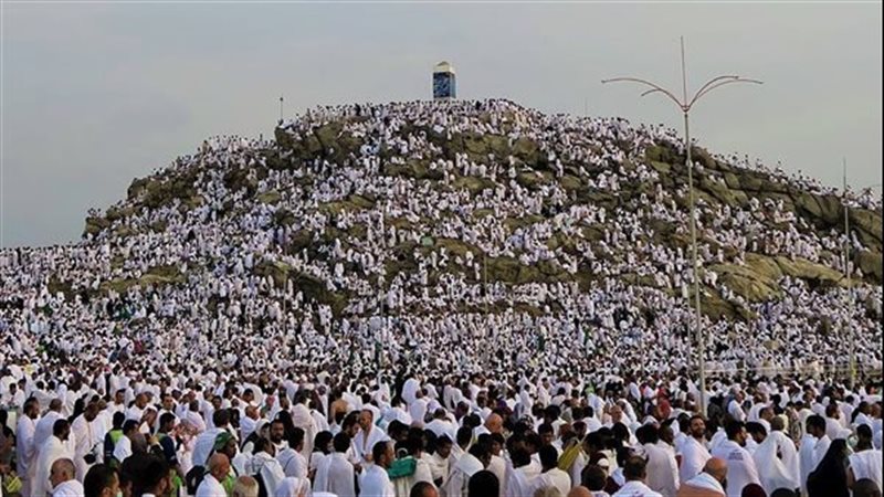 الحجاج