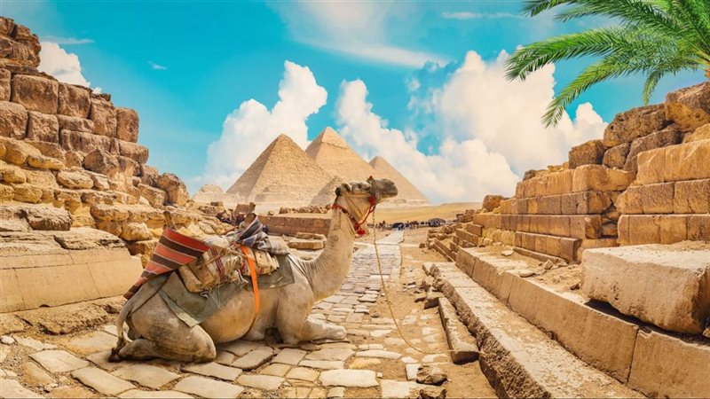 قطاع السياحة في مصر