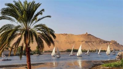 امتداد الموسم السياحي في أسوان لـ يونيو ونسب الإشغال الفندقي تتخطى 60%