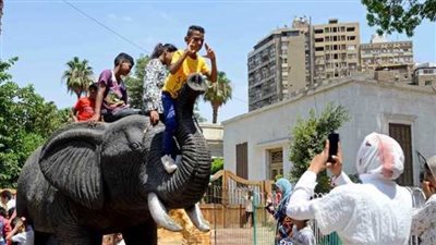 مدير حدائق الحيوان: استقبلنا 66 ألف زائر وعرضنا الولادات الجديدة للأطفال