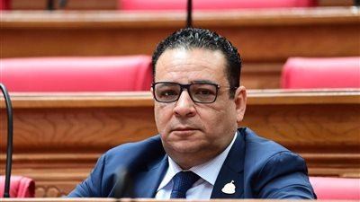 النائب عاطف عجلان يستعد لتقديم طلب إحاطة بشأن سوء تنظيم موسم الحج السياحي 