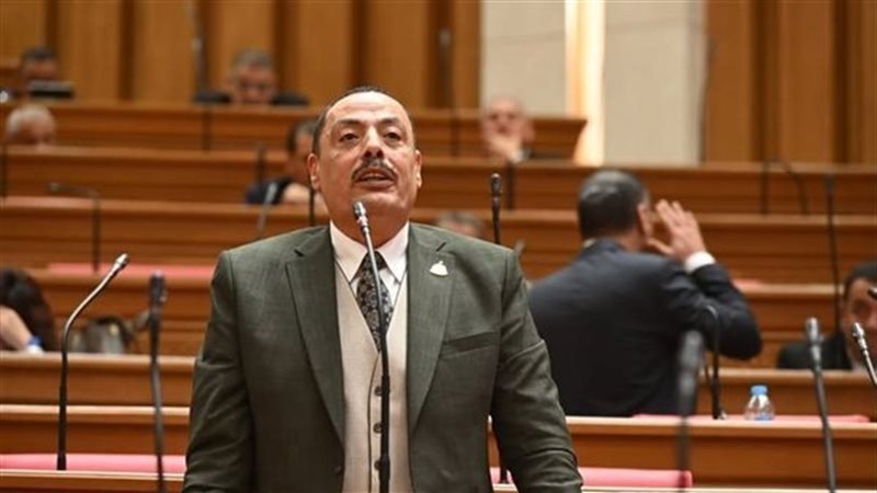 عضو مجلس النواب اشرف امين 
