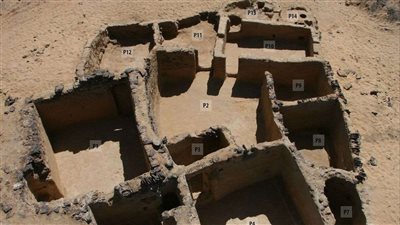 3500 عام من الأسرار.. كشف الواحات الجديد يعيد كتابة تاريخ عصر النهضة بمصر