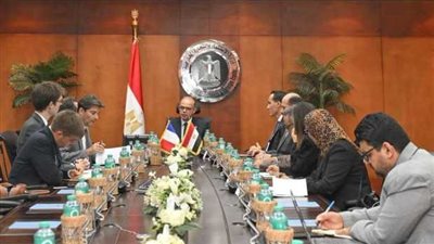 من السيارات إلى الطيران.. خطة مصرية فرنسية جديدة لغزو الأسواق العالمية