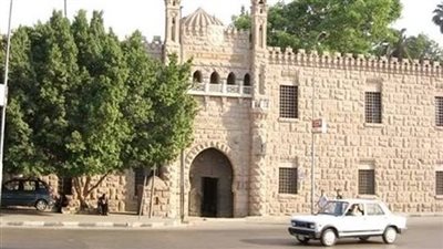 كنوز نباتية من قارات العالم.. 675 شجرة نادرة نجح 