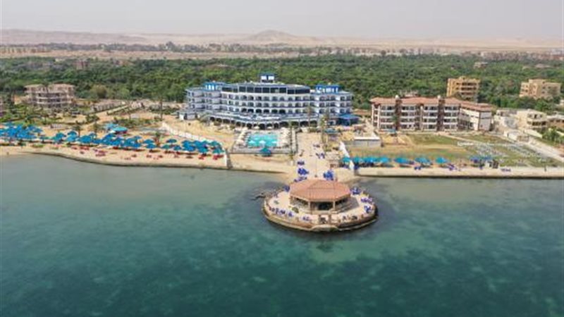 فايد