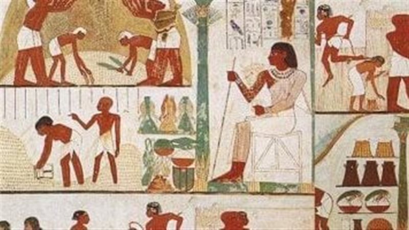 عيد طرح بذور القمح
