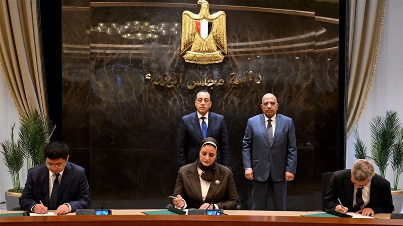 جانب من الفاعليات