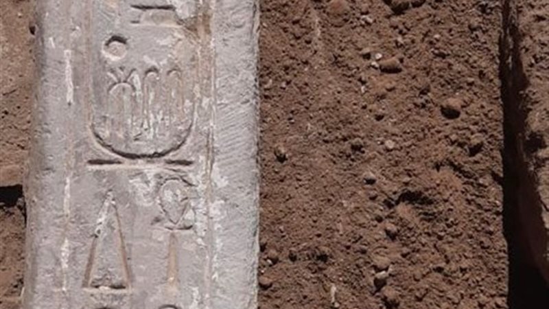 خرطوشة تضمن اسم الملك