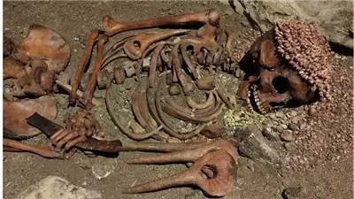 نجا من هجوم دب قبل 27 ألف عام، قصة مراهق كشف أسرار العصر الجليدي
