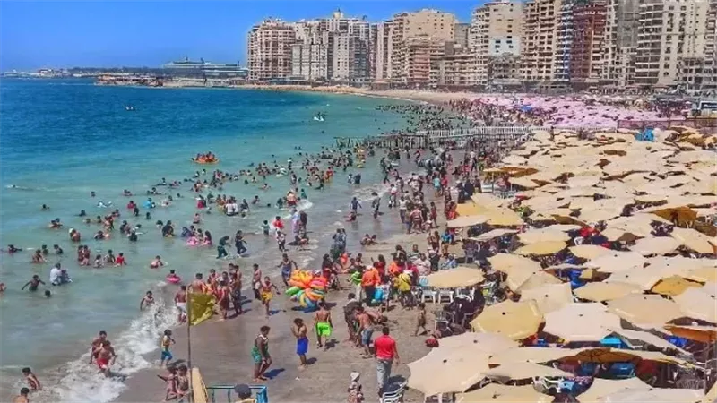 شواطئ الإسكندرية