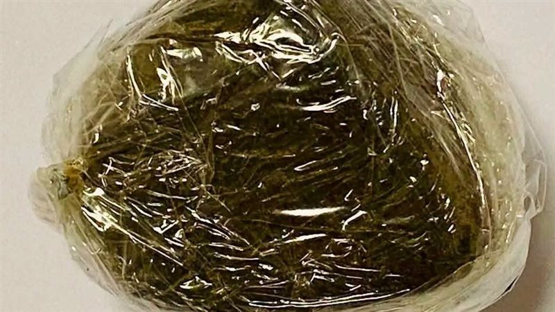 جمارك شرم الشيخ 