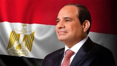 الرئيس السيسي يشهد استعراض قدرات الدولة في مجابهة الأزمات