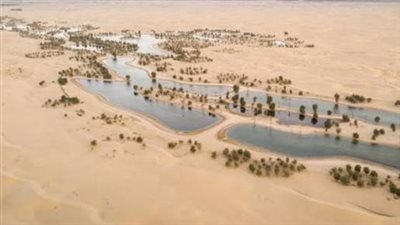 السعودية تطبق الأنظمة البيئية بحزم لحماية المحميات والموارد الطبيعية الوطنية