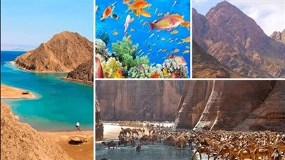 بخطة شاملة لعام 2026/2027.. التنمية المحلية والبيئة تبدأ تطوير 31 محمية طبيعية