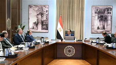 جدار حماية ضد طوارئ الإقليم.. تفاصيل خطة الحكومة لتأمين إمدادات الطاقة في مصر