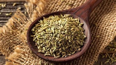 كنز فرعوني في أرض الصعيد.. رحلة الشمر القناوي من برديات الشفاء لعصر التصنيع