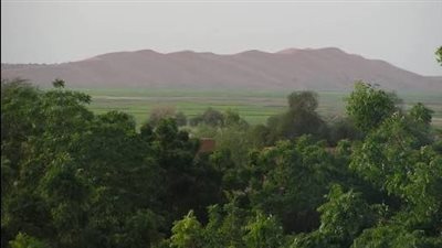 مدينة غاو.. قصة الحاضرة الإسلامية التي ربطت سواحل البحر المتوسط بأعماق إفريقيا