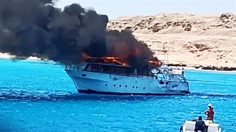 المركب