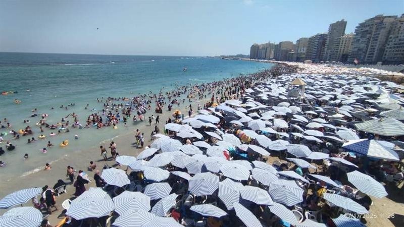 شواطئ الإسكندرية