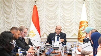 إعداد خطة تنفيذية لإطلاق البرنامج الوطني للعمل اللائق في مصر