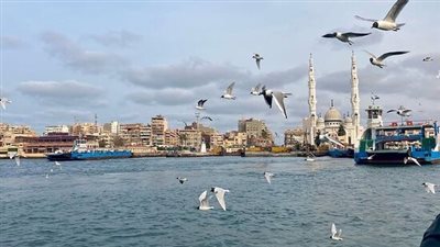بورسعيد بأقل تكلفة.. كيف تقضي يوما كاملا بـ500 جنيه؟