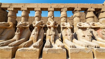 تماثيل الكباش.. لماذا تصطف بالمئات؟ السر وراء أقدس طريق في مصر القديمة