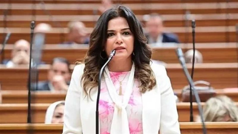 النائبة سحر طلعت
