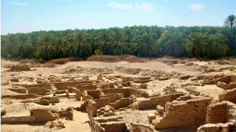 الزراعة في الواحات