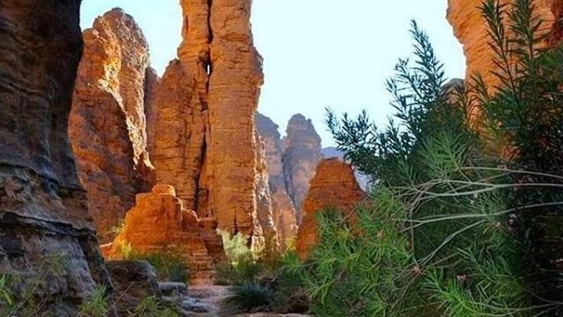 ولاية إيليزي الجزائرية