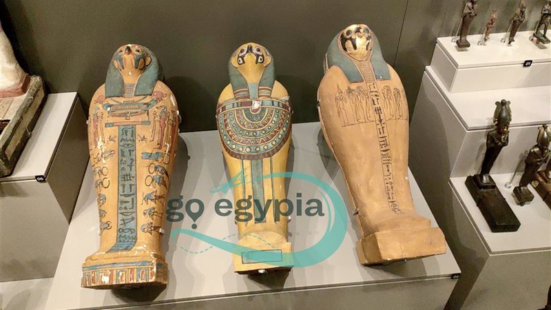 توابيت صقور في المتحف المصري الكبير