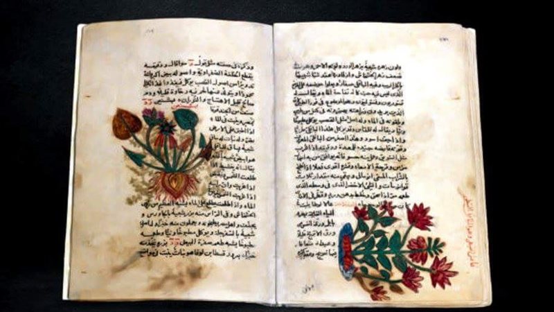مخطوط طبي في المتحف