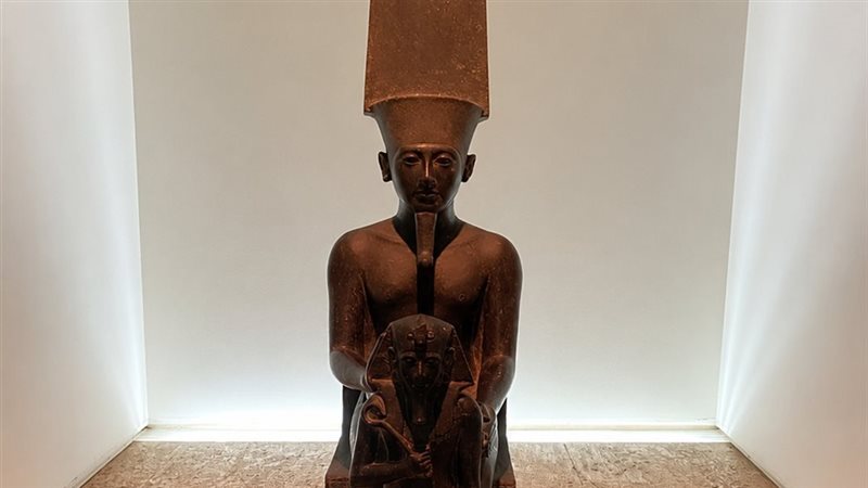 حور محب