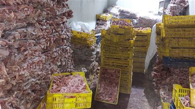 ضبط 28 طن لحوم وأغذية فاسدة و36 ألف زجاجة مشروبات طاقة مجهولة بمحافظة الجيزة