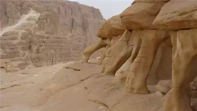 في قلب جنوب سيناء.. 