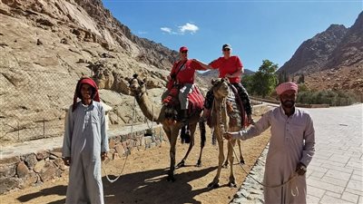 سانت كاترين تستقبل 410 زائرين اليوم.. تعرف على الجنسيات وأبرز المزارات