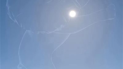 اليوم.. قلب الأسد يقترن بالشمس في ظاهرة فلكية سنوية