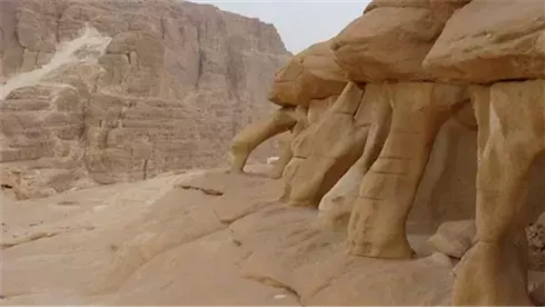 منطقة الكانون الأبيض 