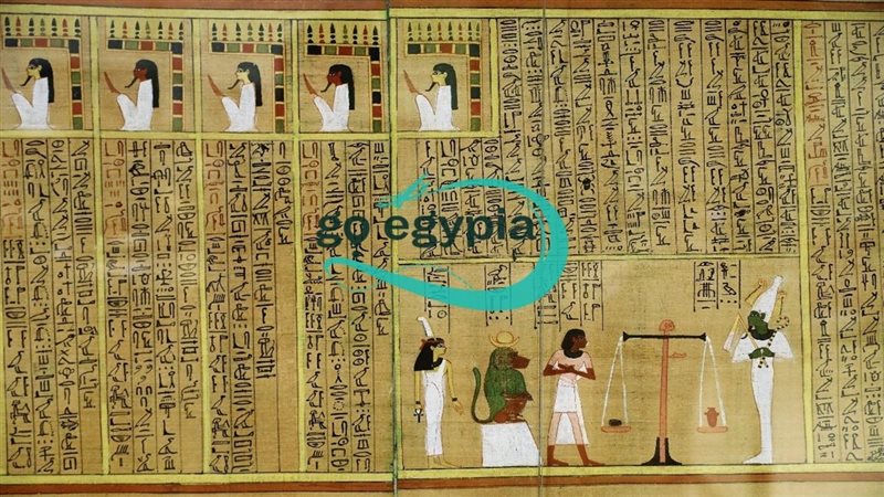 جزء من البردية 