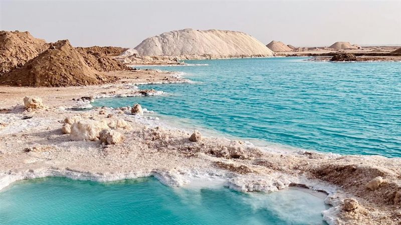 واحة سيوة