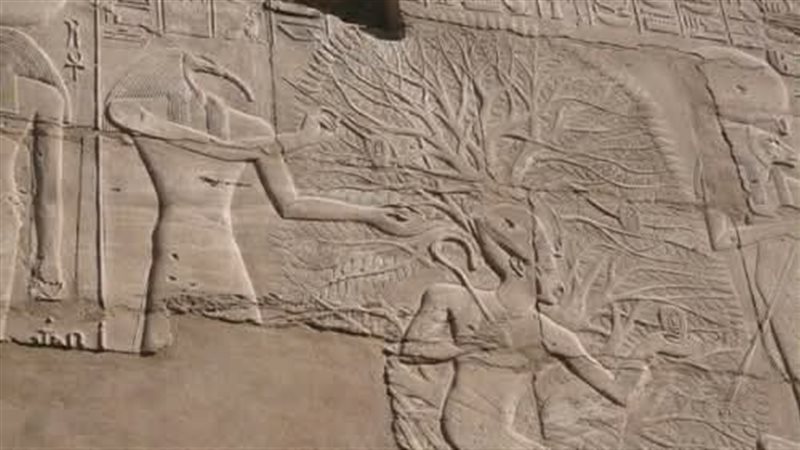 القطعة الأثرية 