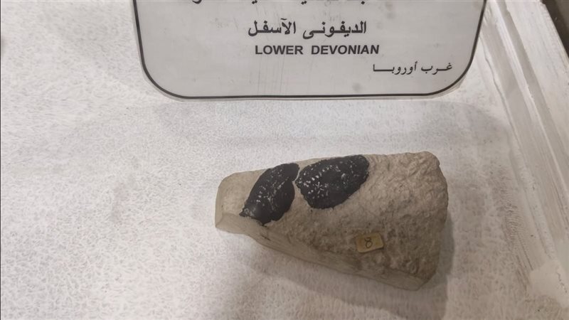 القطعة الأثرية 