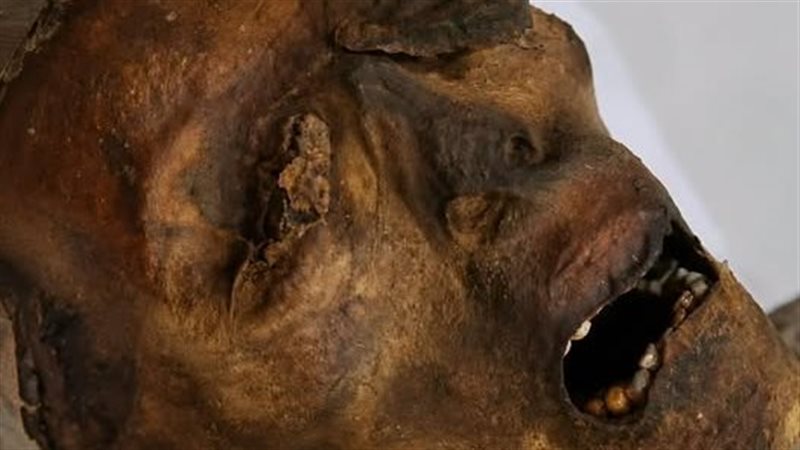مومياء الرجل الصارخ 