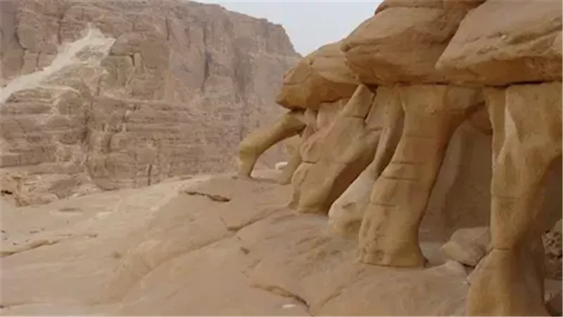 منطقة الكانون الأبيض