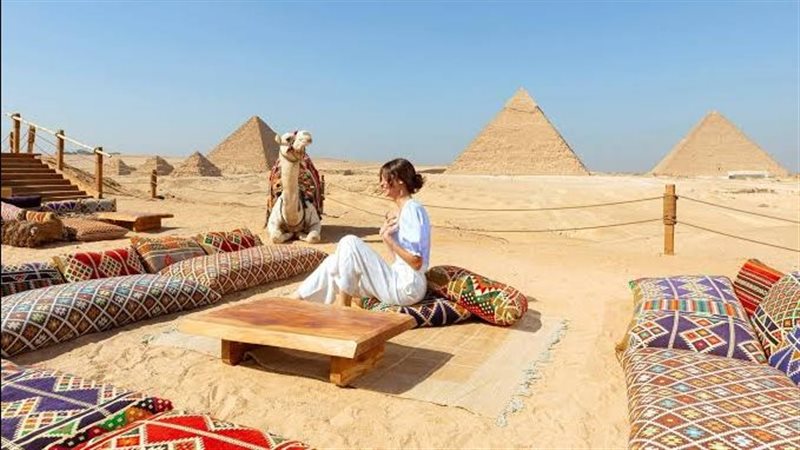 نيفيرا مصر