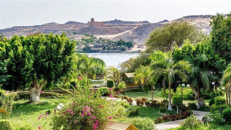 جزيرة النباتات