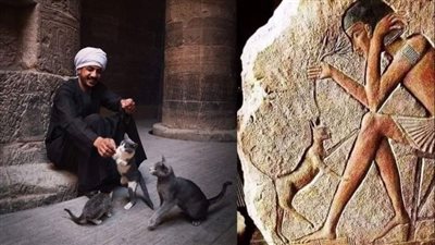 المصري بيحب القطط.. مشهد واحد يجمع بين الماضي والحاضر